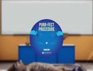 《震撼！VR 游戏之解剖猫科动物 Cat Dissection-Quest 等你来战》-小文资源网