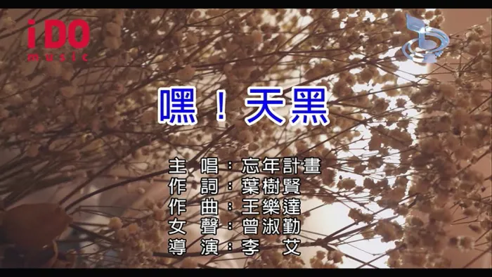 [2018][内地][国语-MV][忘年计划-嘿！天黑][MPG][89MB][百度网盘]