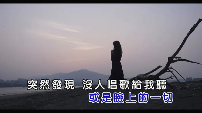 [2018][内地][国语-MV][忘年计划-嘿！天黑][MPG][89MB][百度网盘]