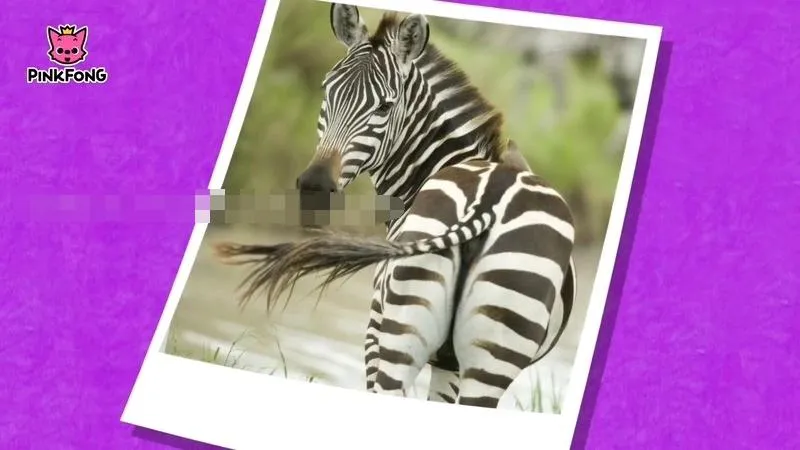 [儿歌]《Super Phonics + Time Songs + Animal Songs》[1080P/MP3下载][全14集/英语英字][313.3M][百度网盘]