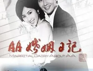 《2010 年 AA 婚姻日记：精彩全集，百度下载》-小文资源网