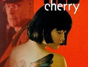 《红樱桃》1995 经典剧情战争巨作 汉语普通话全 1 集 6.15G 百度下载