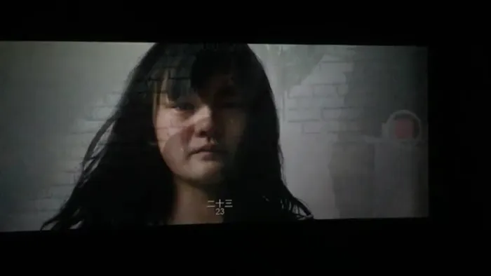 [2016][中国][少年][国语中字][MP4][288MB][百度网盘]