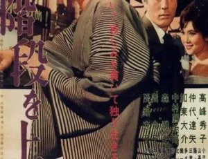 《1960 年日本经典之作：女人步上楼梯 日语中字高清版 10GB 百度网盘分享》-小文资源网