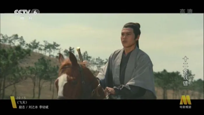 [1969][香港][十二金钱镖][国语中字][MKV][810MB][百度网盘]