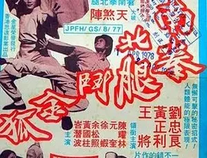 《1977 年香港经典动作片<南拳北腿斗金狐>国语版 AVI 百度盘资源》-小文资源网