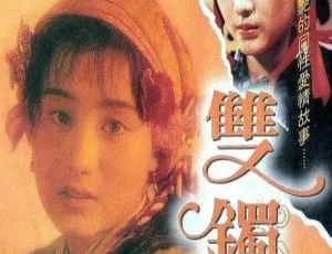 《1989 年香港经典电影《双镯》 国语粤语中字 1.04GB 百度网盘资源》-小文资源网