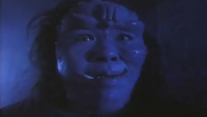 [1990][香港][捉鬼合家欢II麻衣传奇][国语_无字幕][MKV][2.07GB][百度盘]