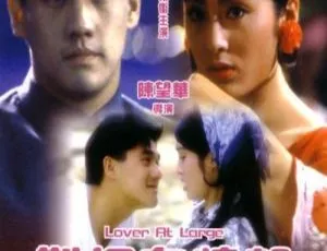 《1991 香港经典电影<难得有情郎_引狼入室>国语中字 RMVB 格式 348MB 百度网盘资源》-小文资源网