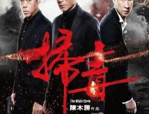 《2013 香港经典电影《扫毒》国粤双语中字 3.35GB 百度网盘资源分享》-小文资源网