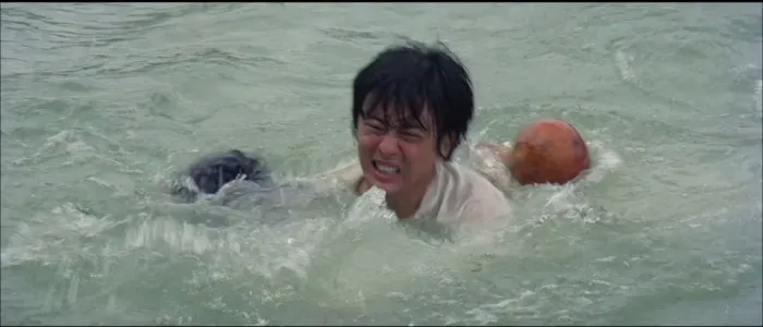 1978][台湾]《虎豹龙蛇鹰》[国粤双语][MKV_1.9 GB][元奎_李艺民_龙世家].AAC