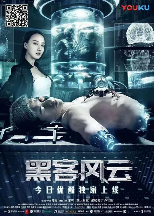 [2017年][大陆]《黑客风》[国语中字]HD720P[MKV]