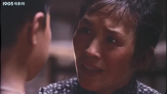 [1999][中国内地]《红军留下的儿子》[王志文][国语无字][MP4_763MB]