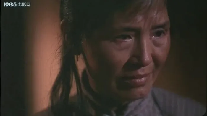 [1999][中国内地]《红军留下的儿子》[王志文][国语无字][MP4_763MB]