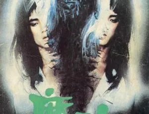 《1983 年中国香港经典恐怖片：吕秀菱领衔主演，国粤双语，简繁中字》