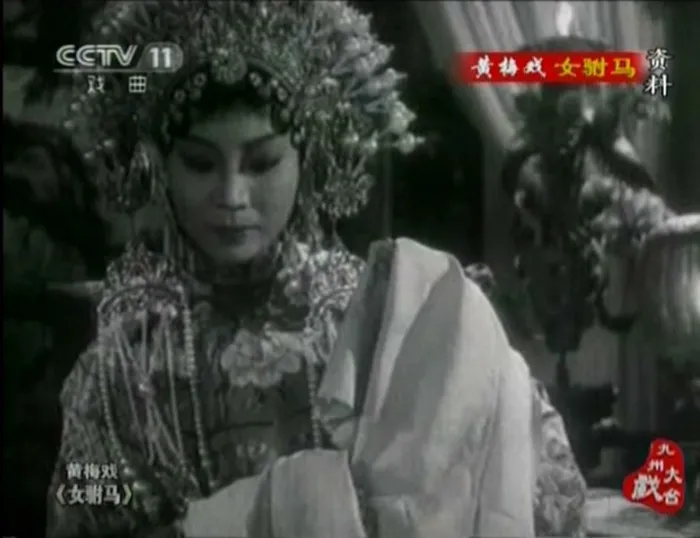 [1959][中国]《女驸马》[陈文明，严凤英，田玉莲，王鲁明][黄梅戏无字][MKV_1.54G]