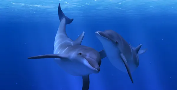 VR游戏《海洋裂谷 Ocean Rift v1.68》[英文][414.90MB][百度网盘]