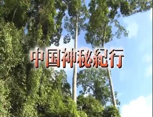 《中国神秘纪行》超震撼纪录片！两季 24 集 1080P/720P 日语配音中文字幕 百度网盘资源-小文资源网
