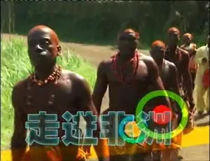 《走进非洲 2003 精彩绝伦！21 集 1080P 国语中字 百度网盘呈现》