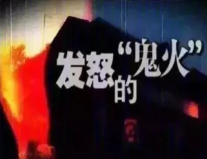 《走近科学》2014 标清合集 百度网盘资源大放送