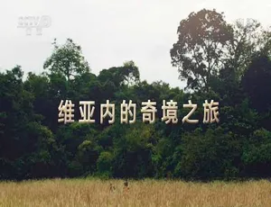 《维亚内奇境之旅：震撼纪录片，TS/蓝光全 1 集百度网盘分享》