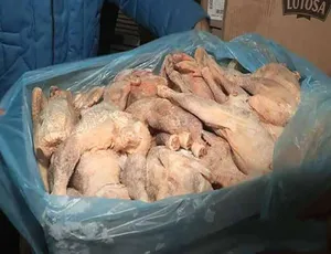 《非洲贫民与致命鸡肉的震撼纪录片》-小文资源网