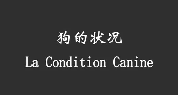 [2001][中国大陆][贾樟柯][狗的状况][80M][百度盘]