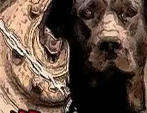 贾樟柯《狗的状况》2001 年中国大陆版，80M 资源百度盘分享-小文资源网
