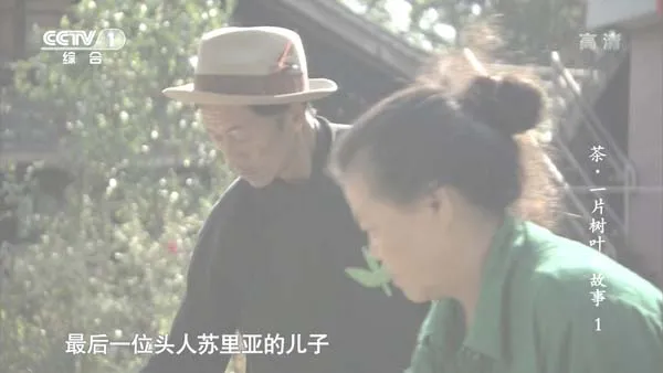 [2013][中国大陆][茶,一片树叶的故事][7.2G][百度盘]