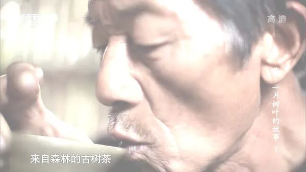 [2013][中国大陆][茶,一片树叶的故事][7.2G][百度盘]