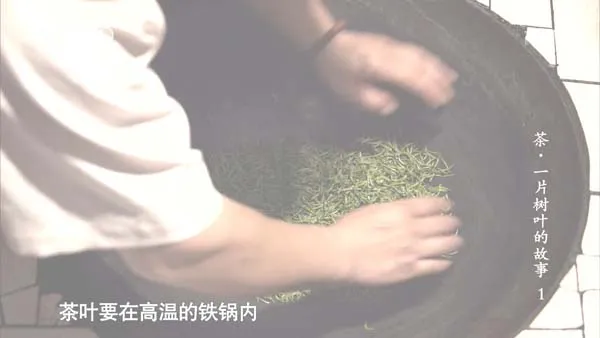 [2013][中国大陆][茶,一片树叶的故事][7.2G][百度盘]