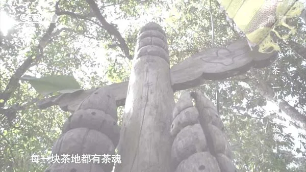[2013][中国大陆][茶,一片树叶的故事][7.2G][百度盘]