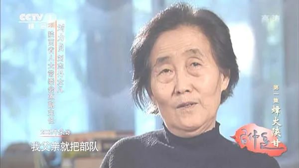 [2013][中国大陆][习仲勋 6集文献纪录片][高清][720P][百度盘]