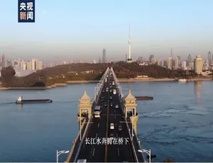 《武汉日记》震撼纪录片，1080P 高清，国语配音中文字幕，百度网盘资源