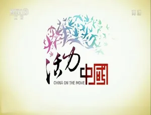 《活力中国》精彩纪录片，1080P 高清国语中字，百度网盘分享！