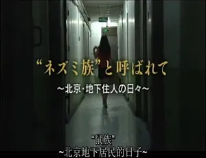《探秘北京鼠族：震撼纪录片》-小文资源网