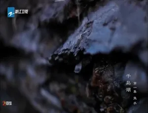 《震撼！1080P 高清纪录片<千岛湖>，3 集国语配音中文字幕，百度网盘分享》-小文资源网