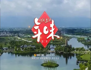 《时辰里的年味第二季：精彩纪录片 720P 国语配音中文字幕 百度网盘资源》-小文资源网