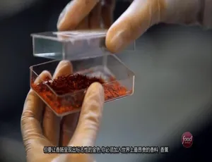《食物工厂：第二季 26 集 720P 英语中字 百度网盘震撼呈现》-小文资源网