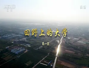 《田野上的大学：震撼心灵的纪录片之旅》