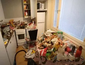 《整屋深度清洁：震撼纪录片全 36 集 1080 中字百度网盘呈现》-小文资源网