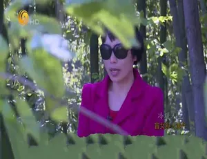 《筑梦天下 2018 震撼纪录片全集 10.95G 百度网盘珍藏》