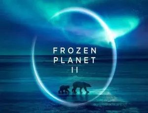《冰冻星球》第二季 2022 震撼来袭！已更至 3 集 英语 官方中字-小文资源网