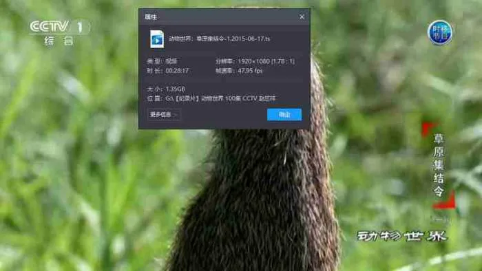 CCTV节目《动物世界》全100集赵忠祥播讲版高清视频合集[TS/142.62GB]百度云网盘下载