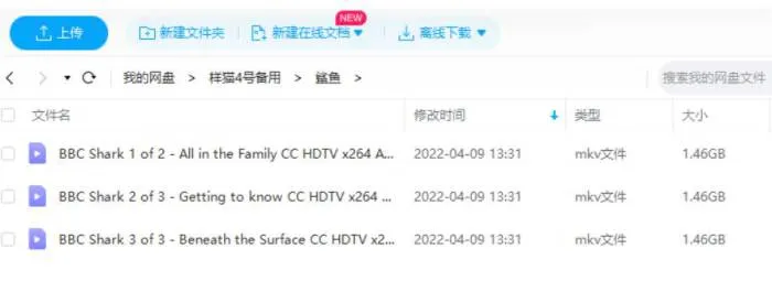 BBC纪录片《鲨鱼》全3集超清英语中字[MKV/4.37GB]百度云网盘下载