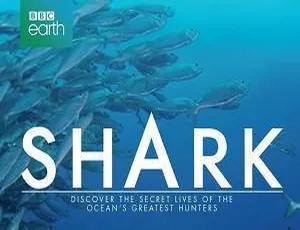 BBC 震撼巨制《鲨鱼》全 3 集超清英语中字资源下载