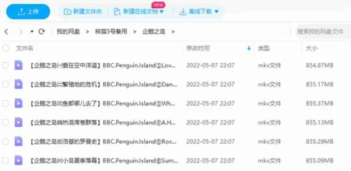 BBC纪录片《企鹅岛》视频6集英语中字[MKV/5.01GB]百度云网盘下载
