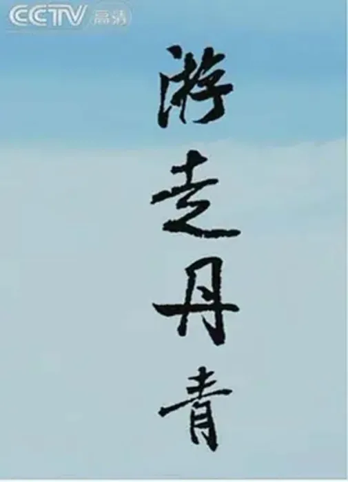 [2010][CCTV纪录片][人文地图之游走丹青][3.4G][百度盘]