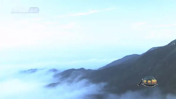 [2010][CCTV纪录片][人文地图之游走丹青][3.4G][百度盘]