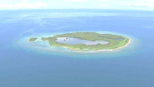 [2015][BBC][鲨鱼][4.37G][百度盘]
